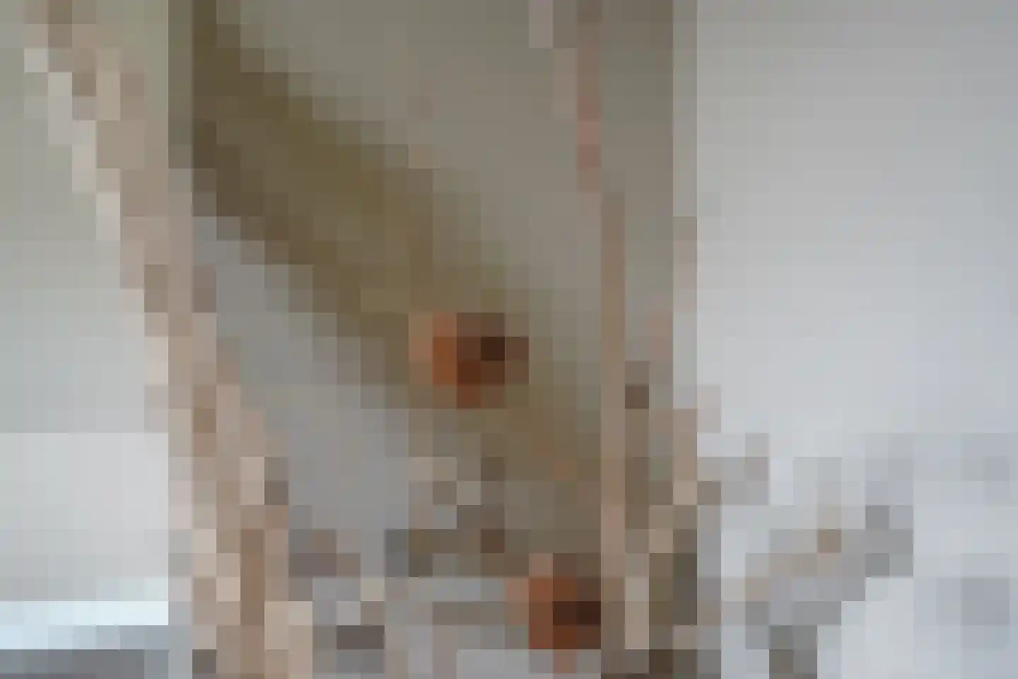Oude Nijkerkerweg 2 Putten thumbnail 42