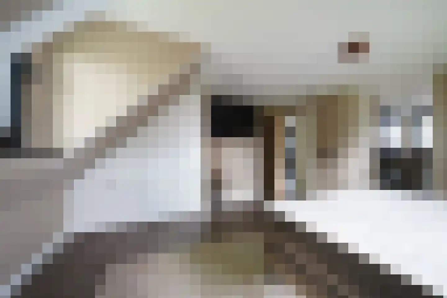 Oude Nijkerkerweg 2 Putten thumbnail 43