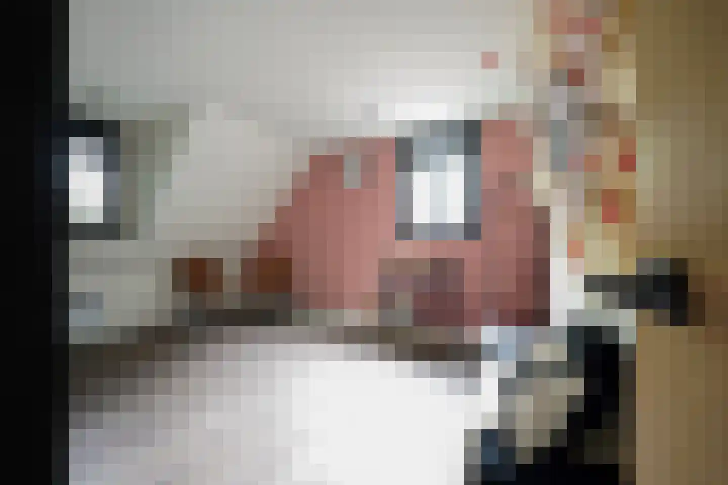 Oude Nijkerkerweg 2 Putten thumbnail 46