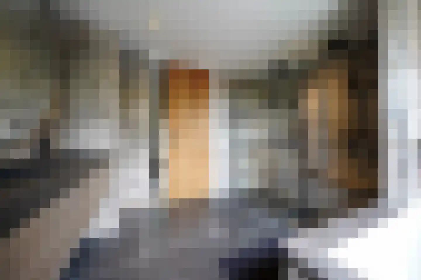 Oude Nijkerkerweg 2 Putten thumbnail 50