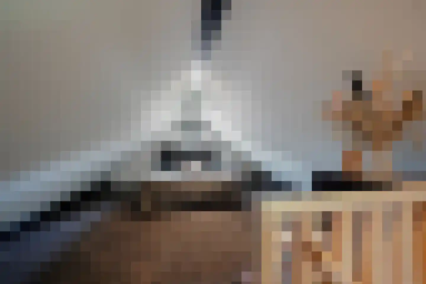 Oude Nijkerkerweg 2 Putten thumbnail 53