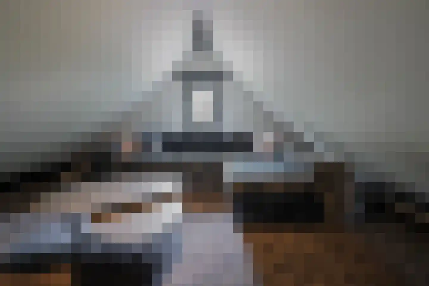 Oude Nijkerkerweg 2 Putten thumbnail 54