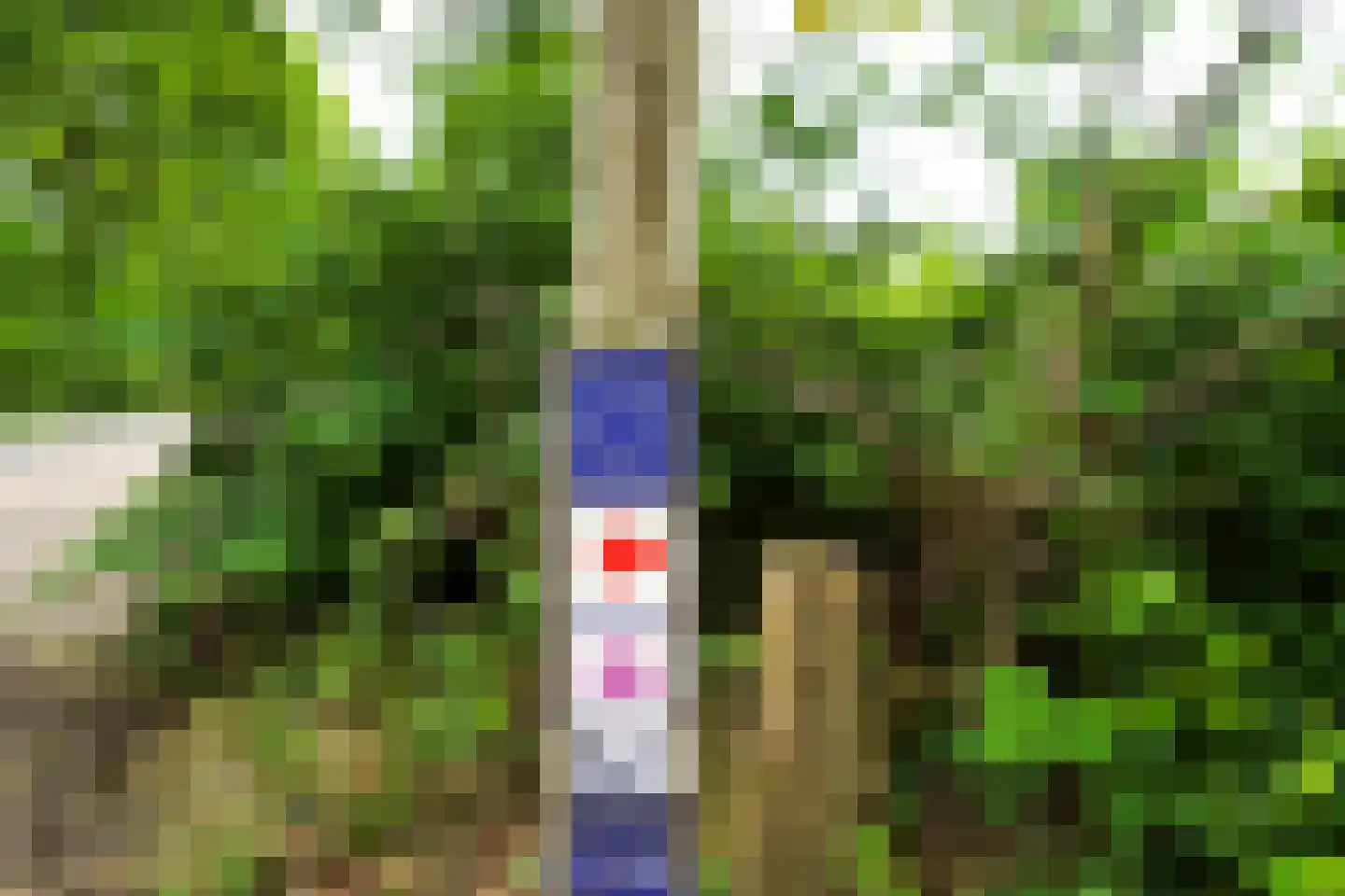 Oude Nijkerkerweg 2 Putten thumbnail 57