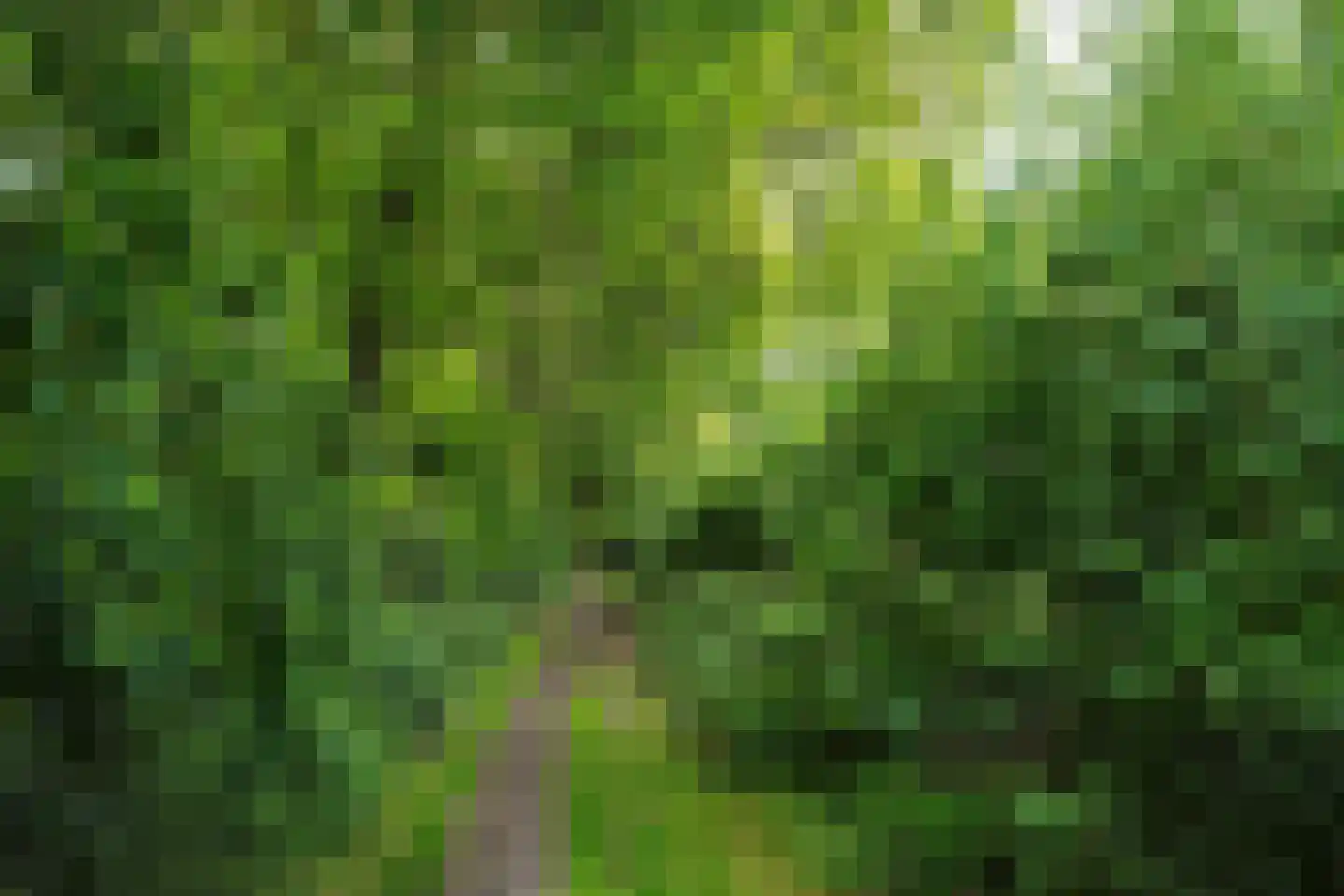 Oude Nijkerkerweg 2 Putten thumbnail 58