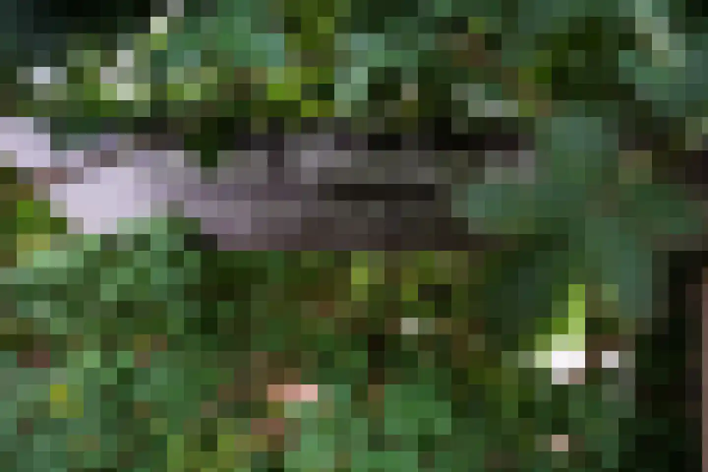 Oude Nijkerkerweg 2 Putten thumbnail 59