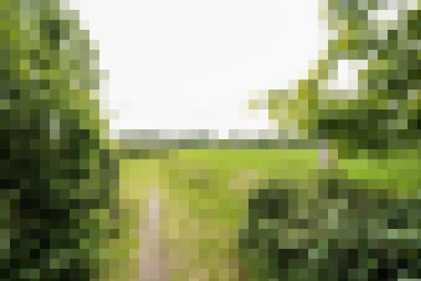 Oude Nijkerkerweg 2 Putten thumbnail 61