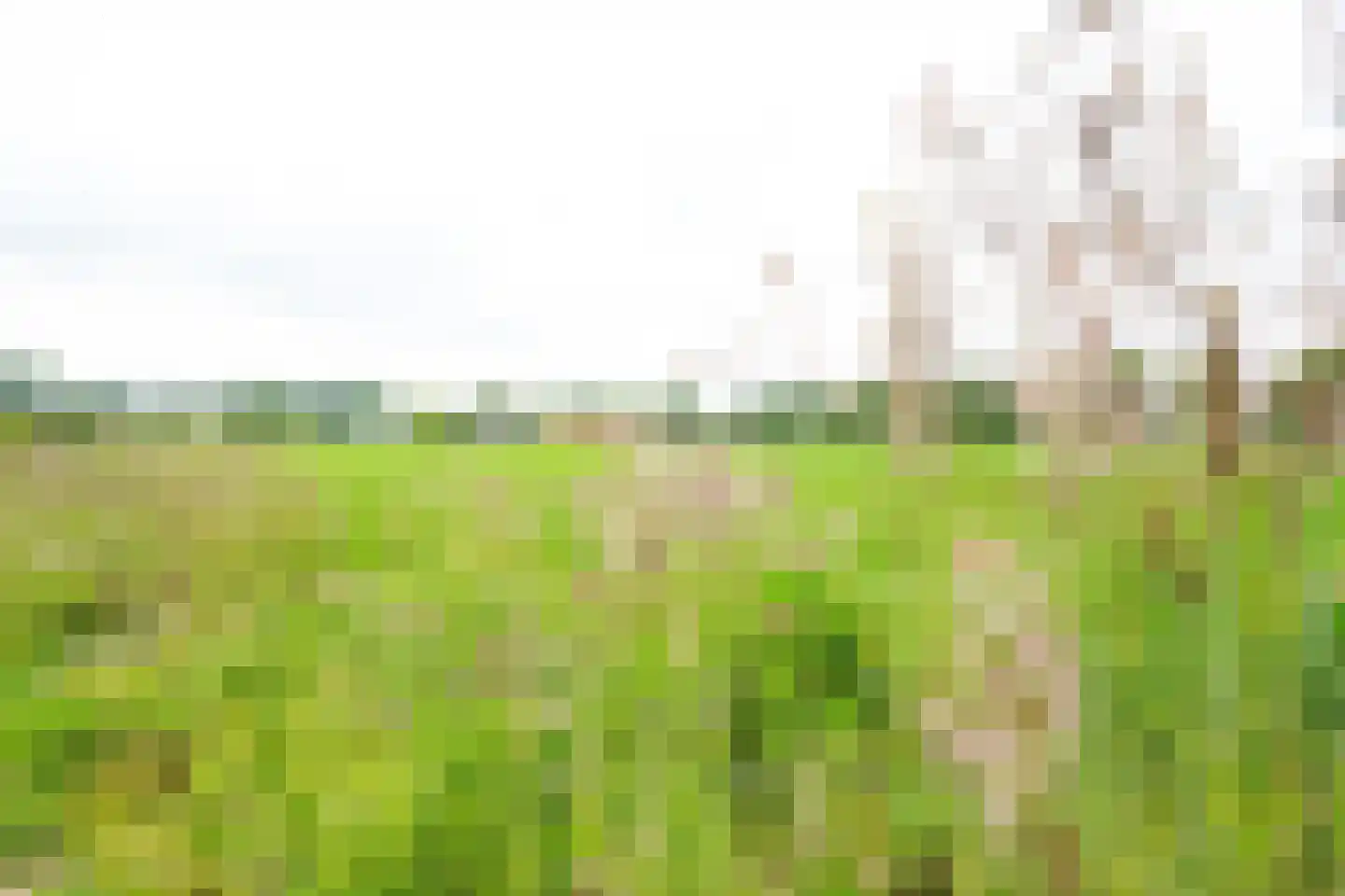 Oude Nijkerkerweg 2 Putten thumbnail 62