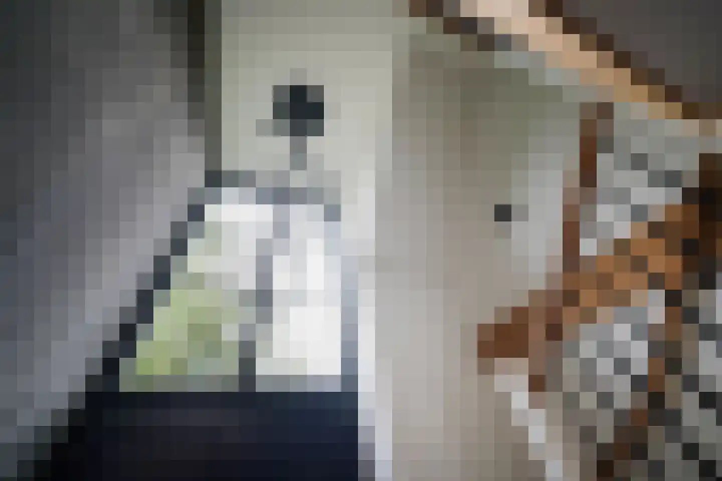 Oude Nijkerkerweg 2 Putten thumbnail 9