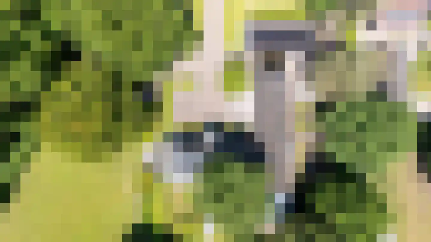 Oude Nijkerkerweg 3 Putten thumbnail 110