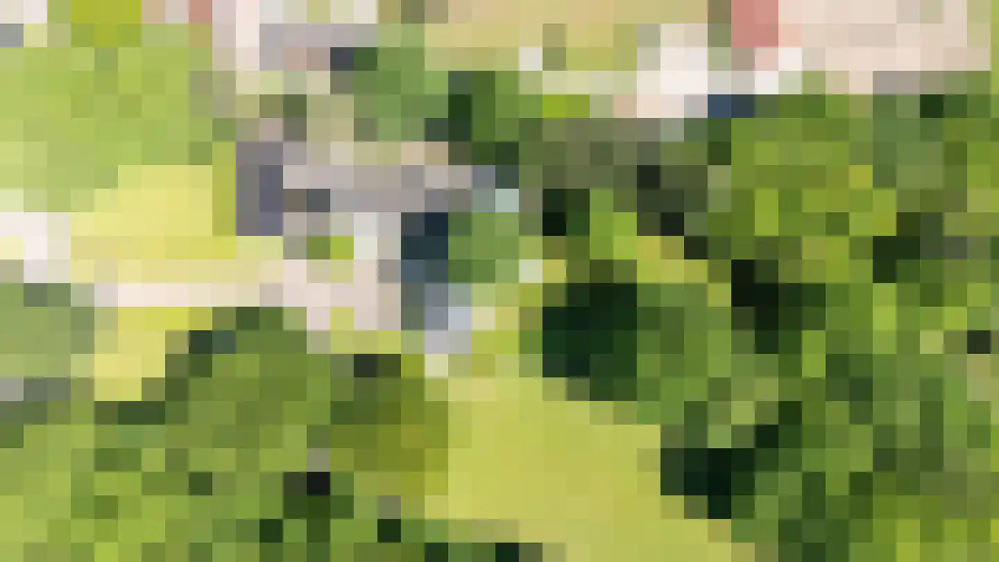 Oude Nijkerkerweg 3 Putten thumbnail 111