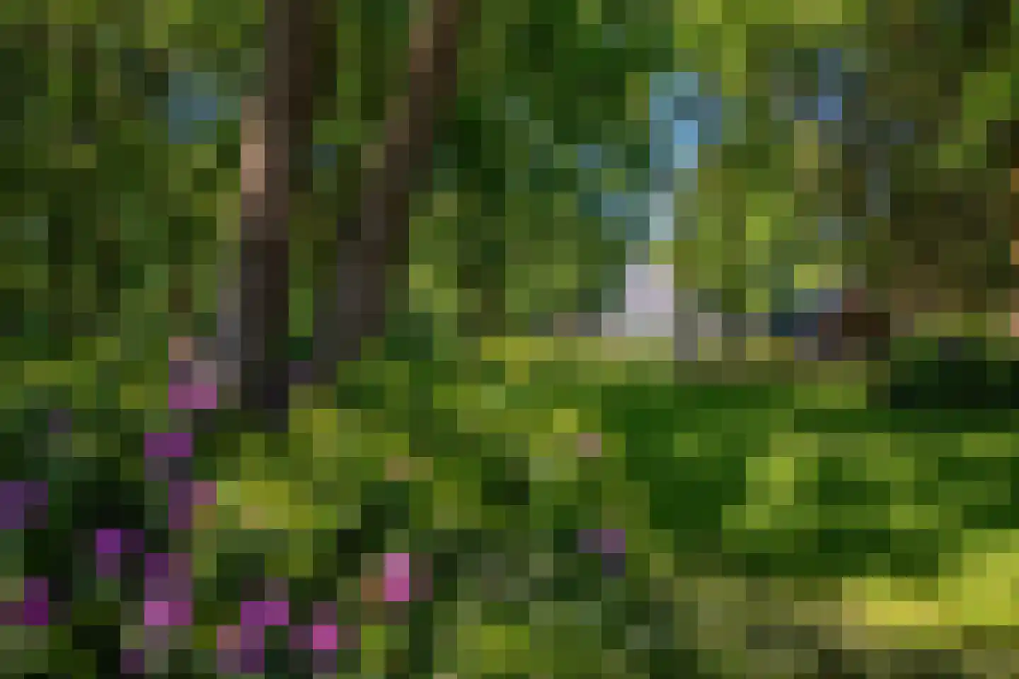 Oude Nijkerkerweg 3 Putten thumbnail 22