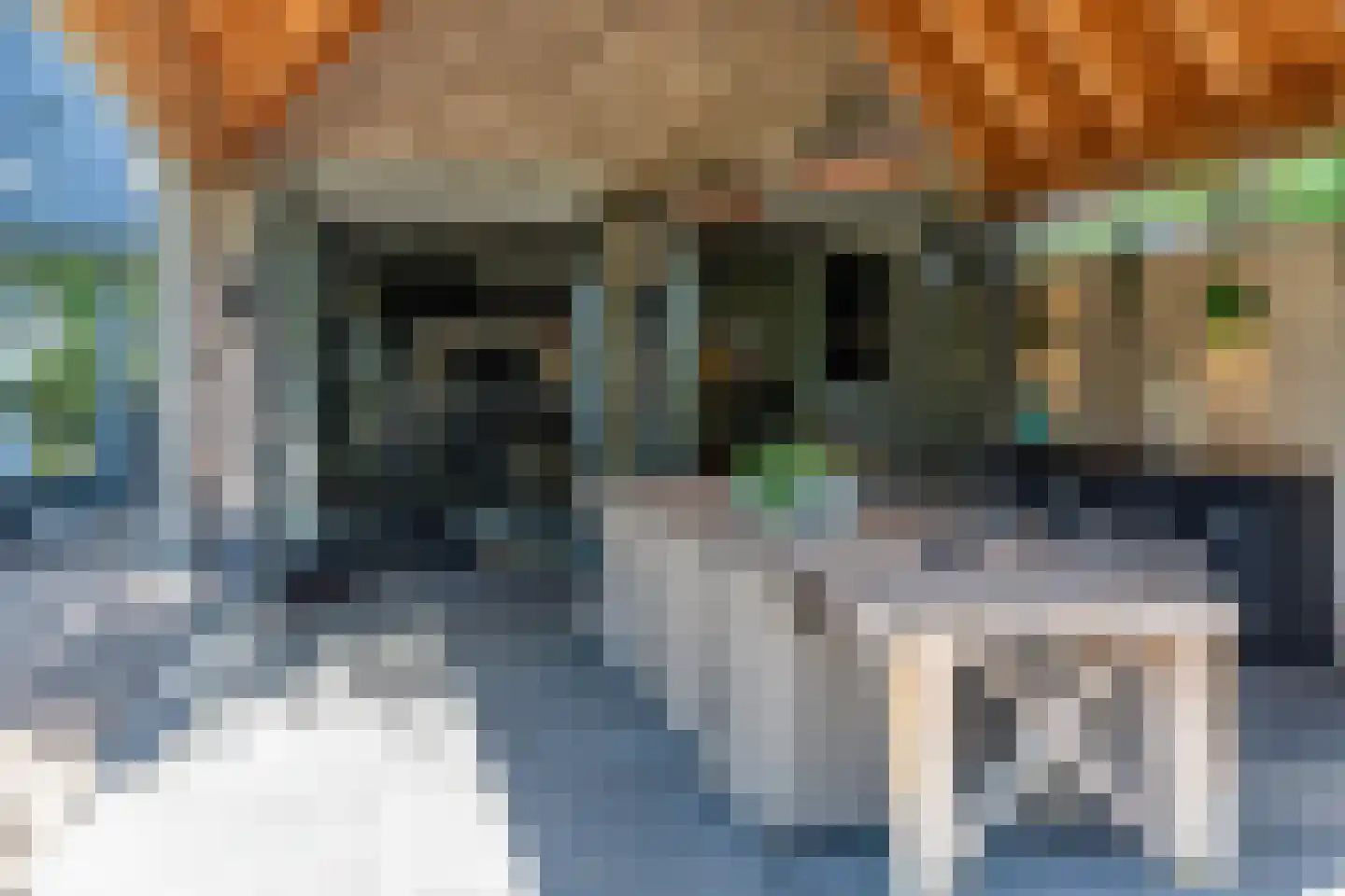Oude Nijkerkerweg 3 Putten thumbnail 38