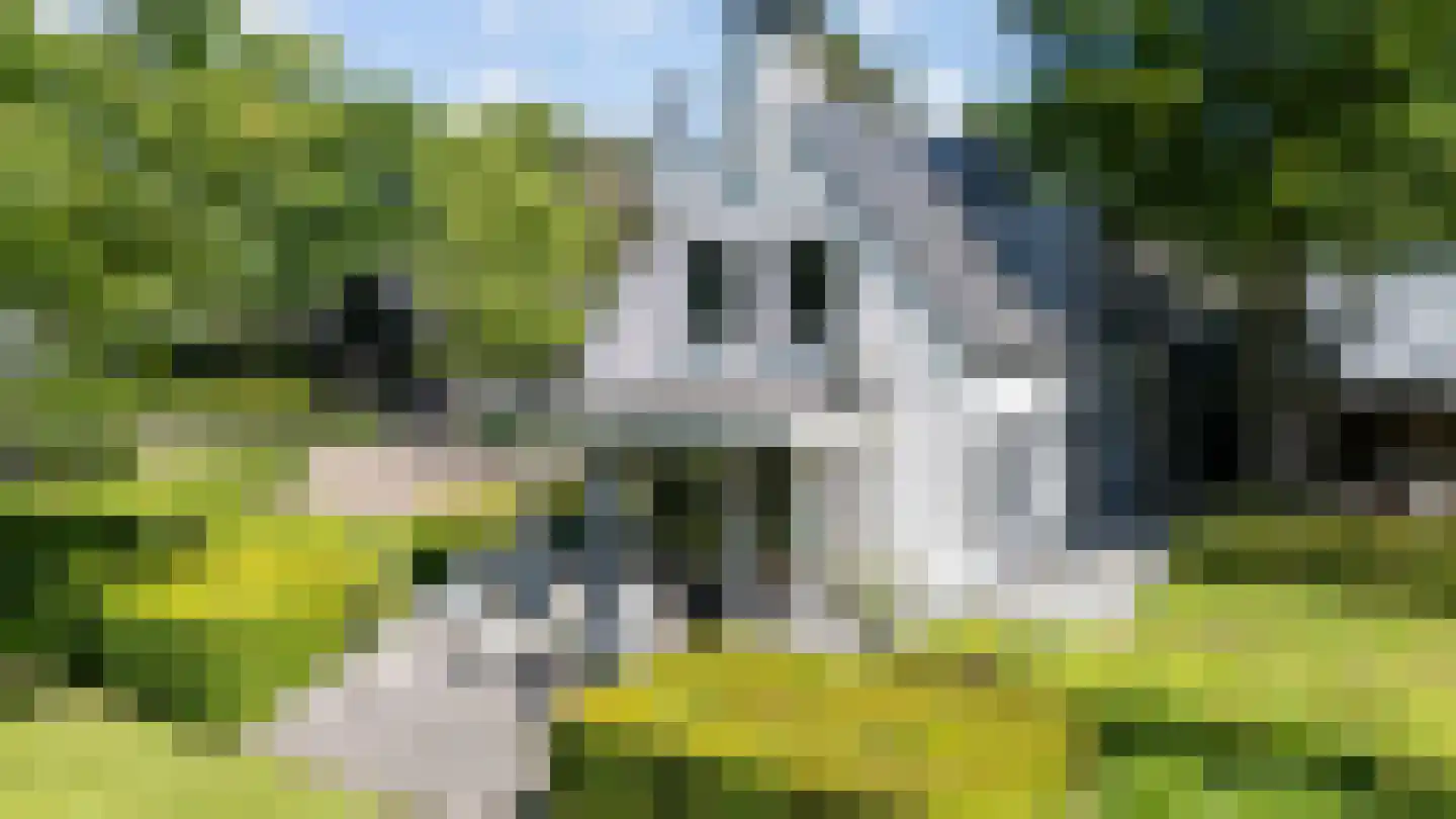 Oude Nijkerkerweg 3 Putten thumbnail 4