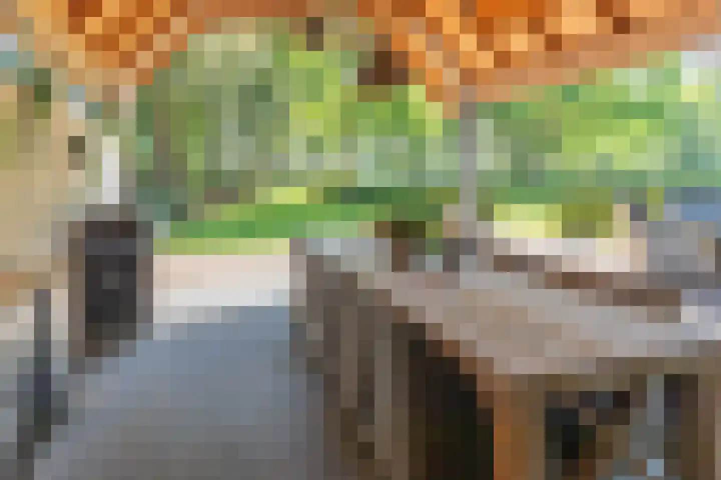 Oude Nijkerkerweg 3 Putten thumbnail 41