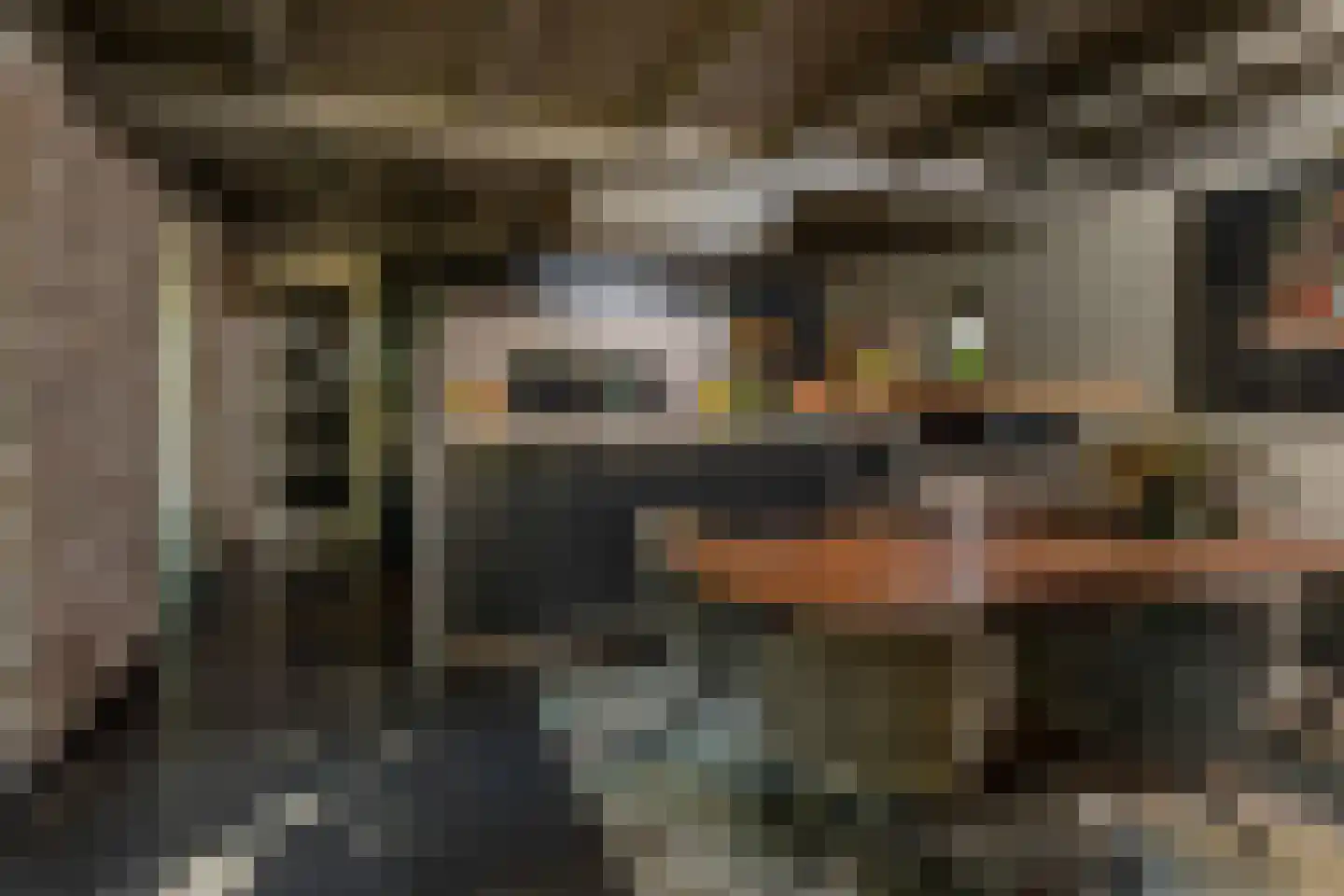 Oude Nijkerkerweg 3 Putten thumbnail 42