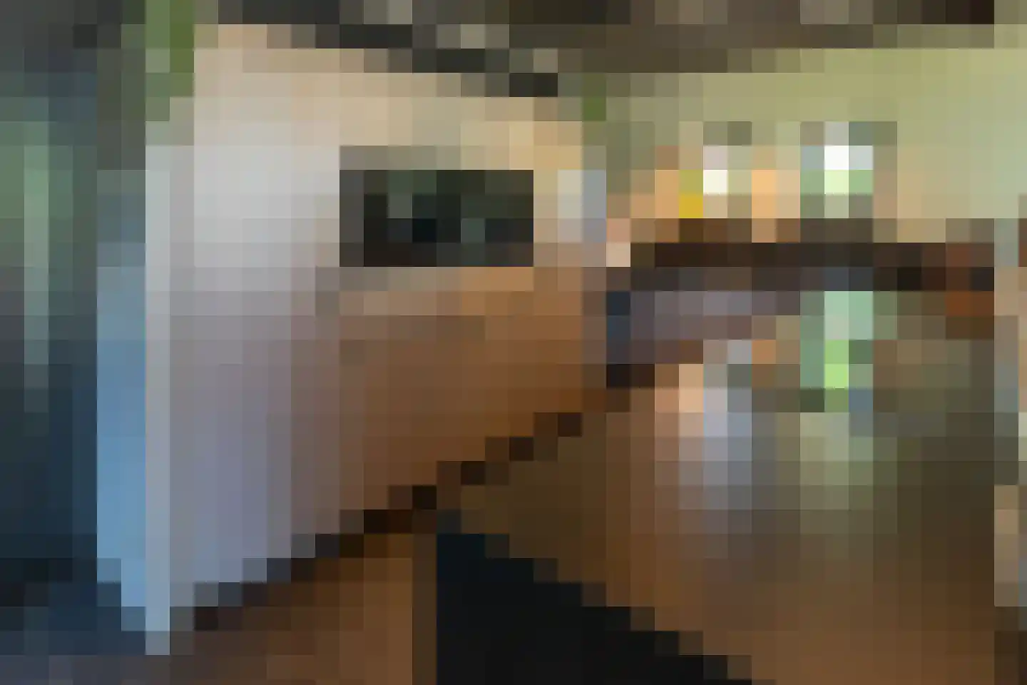 Oude Nijkerkerweg 3 Putten thumbnail 45