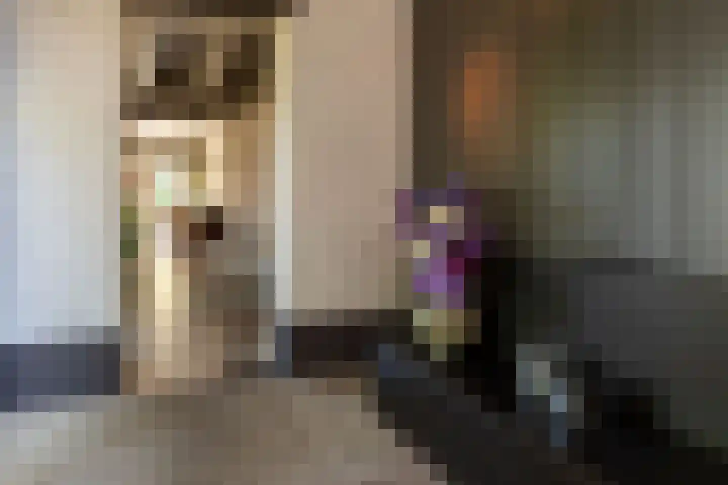 Oude Nijkerkerweg 3 Putten thumbnail 46