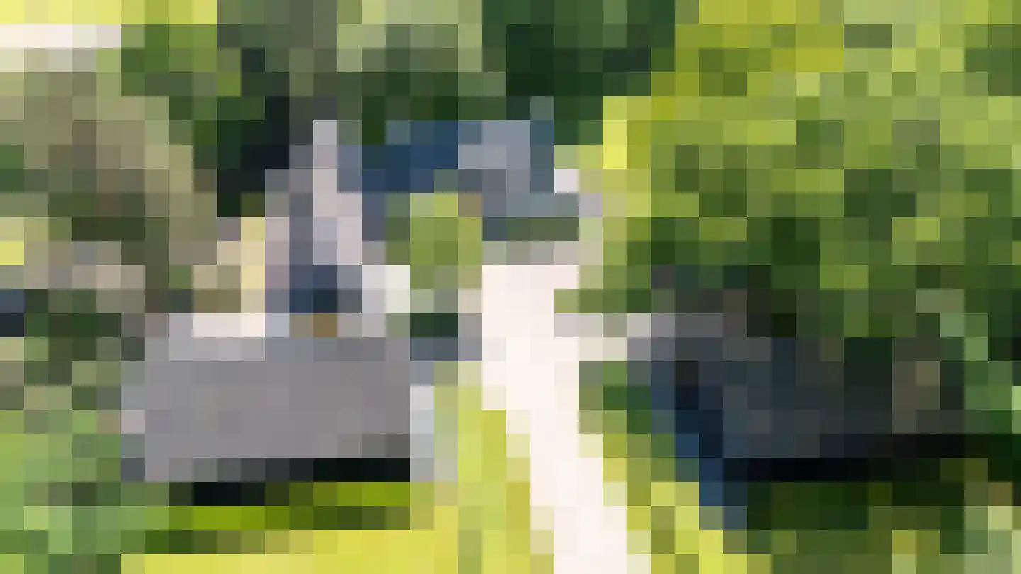 Oude Nijkerkerweg 3 Putten thumbnail 5