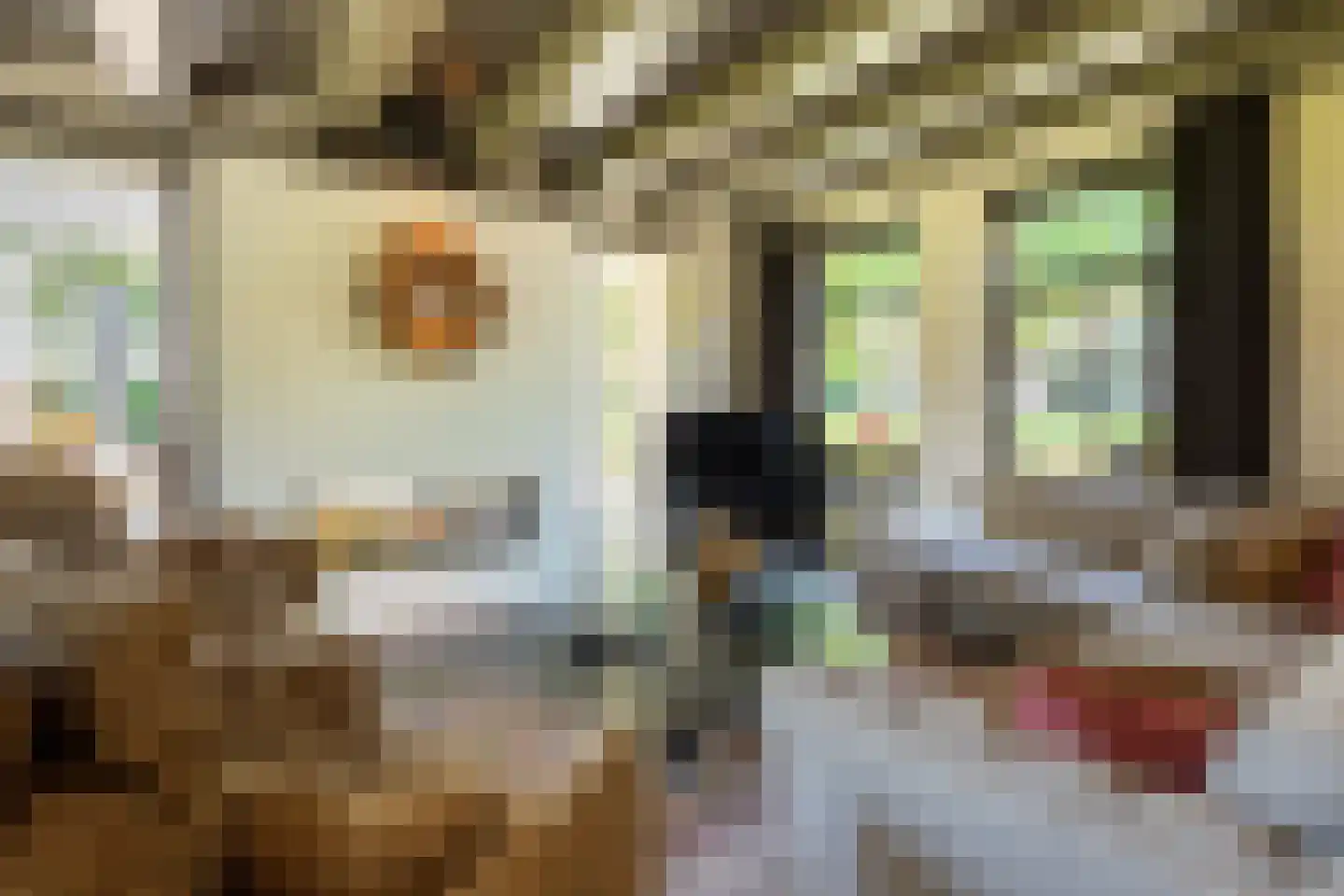 Oude Nijkerkerweg 3 Putten thumbnail 51