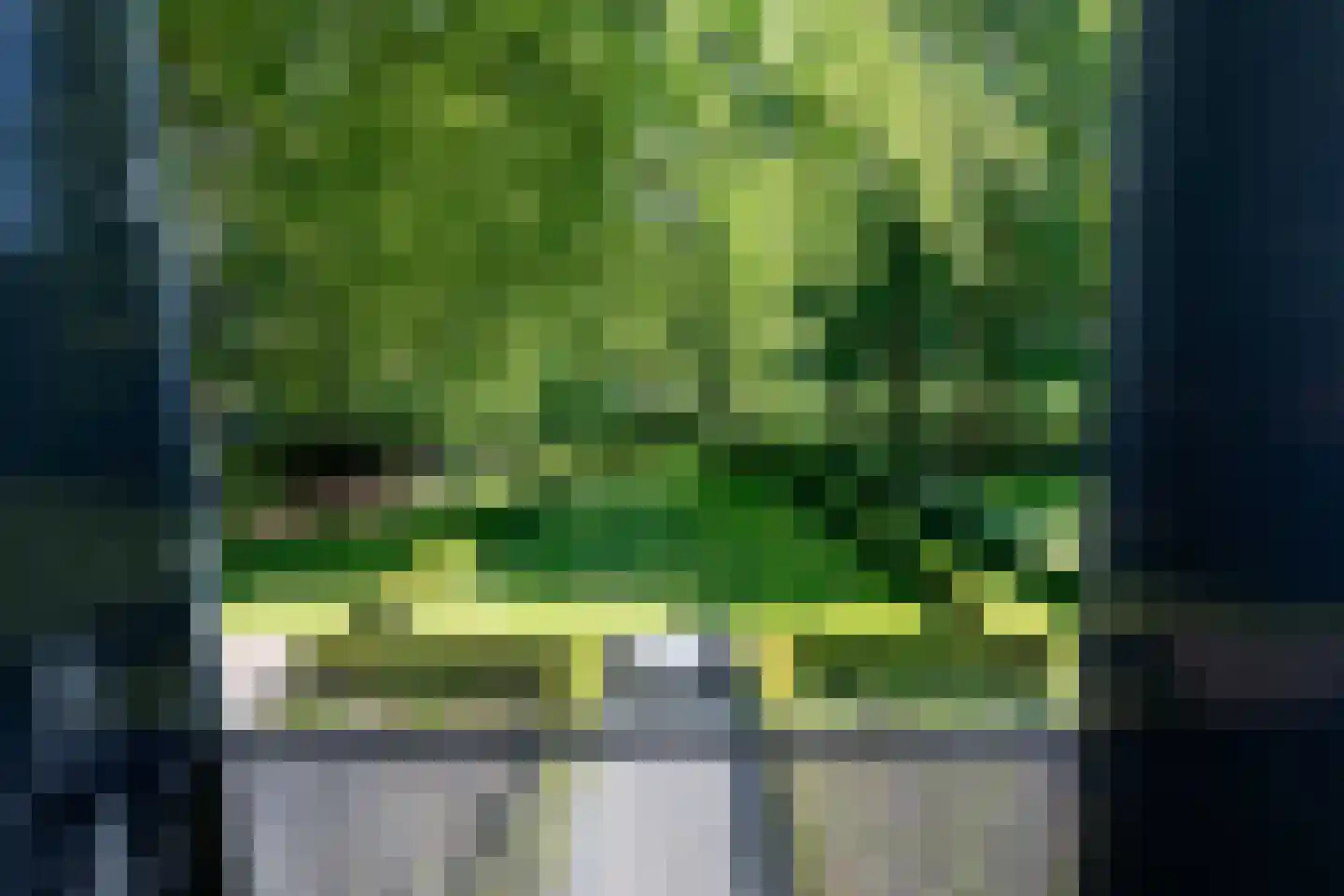 Oude Nijkerkerweg 3 Putten thumbnail 63