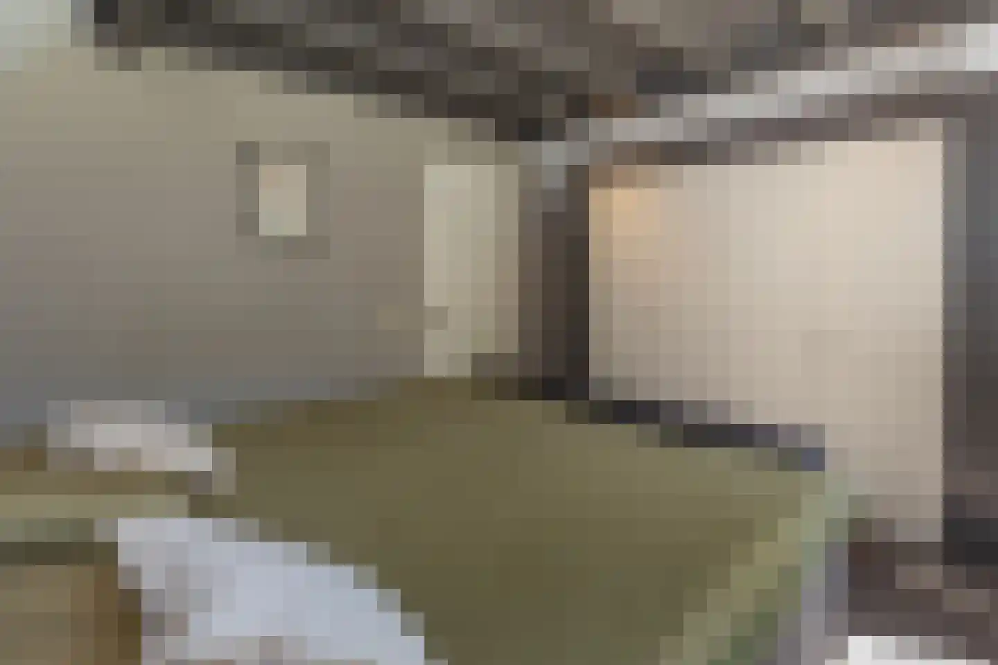Oude Nijkerkerweg 3 Putten thumbnail 65