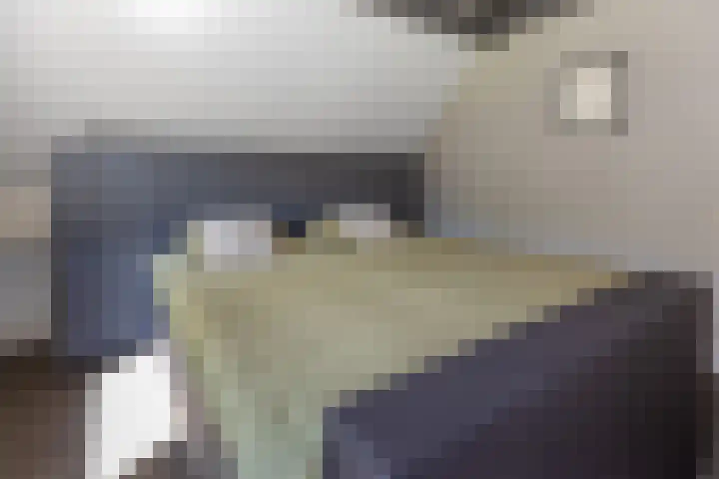 Oude Nijkerkerweg 3 Putten thumbnail 66