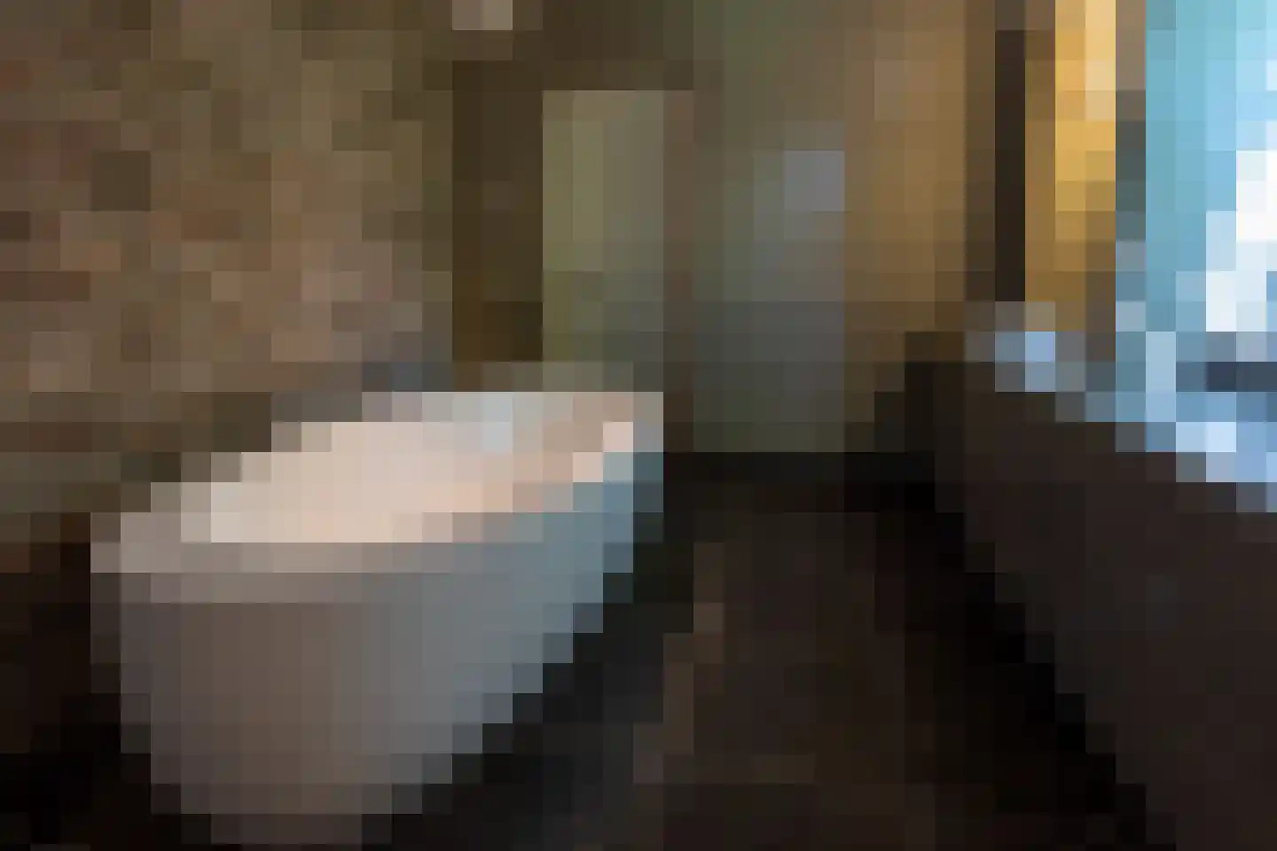 Oude Nijkerkerweg 3 Putten thumbnail 68