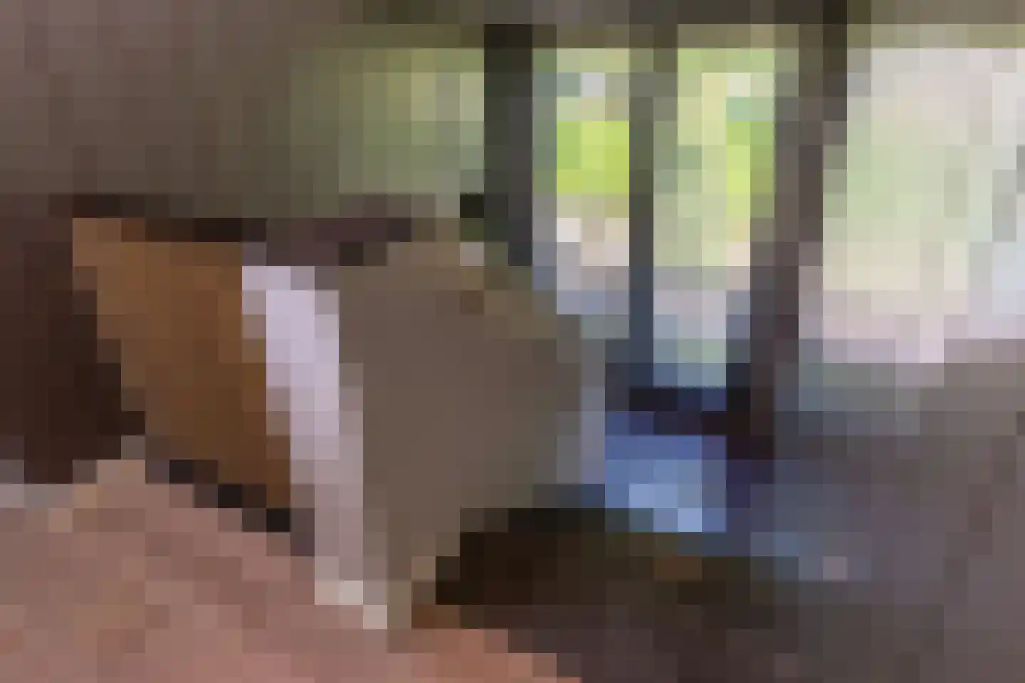 Oude Nijkerkerweg 3 Putten thumbnail 81
