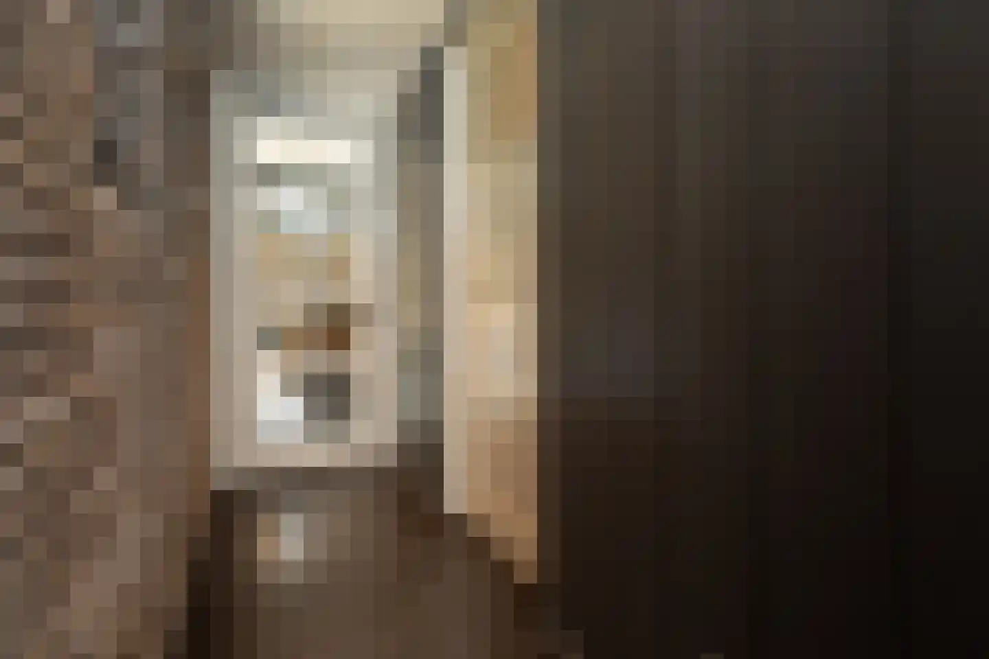 Oude Nijkerkerweg 3 Putten thumbnail 91