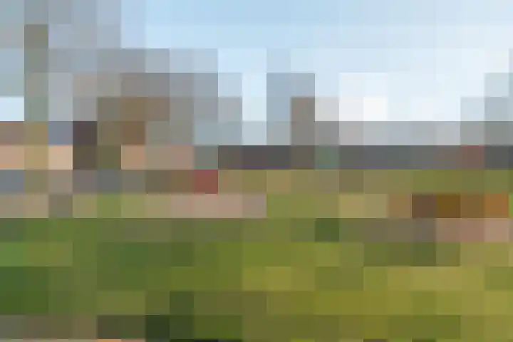 Oude Nonnendaalseweg 188 Nijmegen thumbnail 21