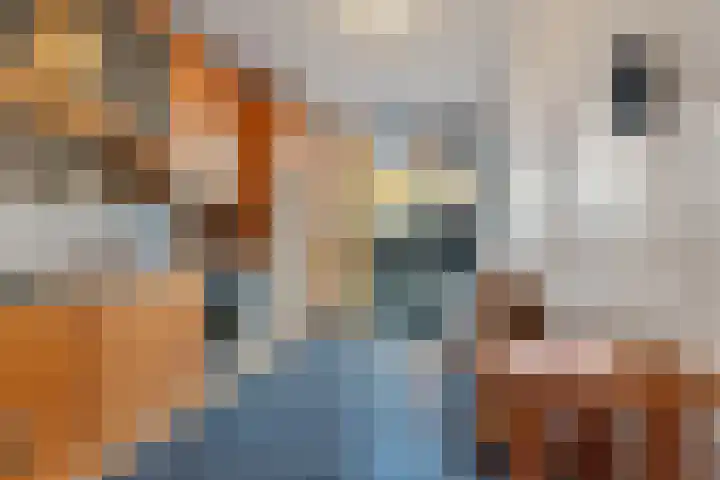 Oude Nonnendaalseweg 188 Nijmegen thumbnail 6