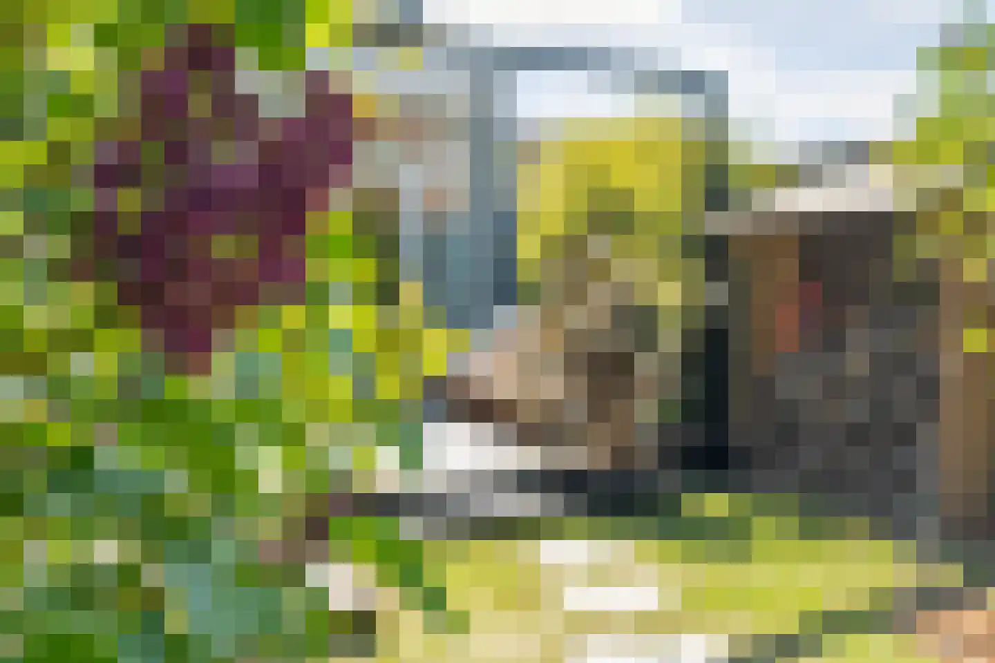 Oude Nonnendaalseweg 194 Nijmegen thumbnail 38