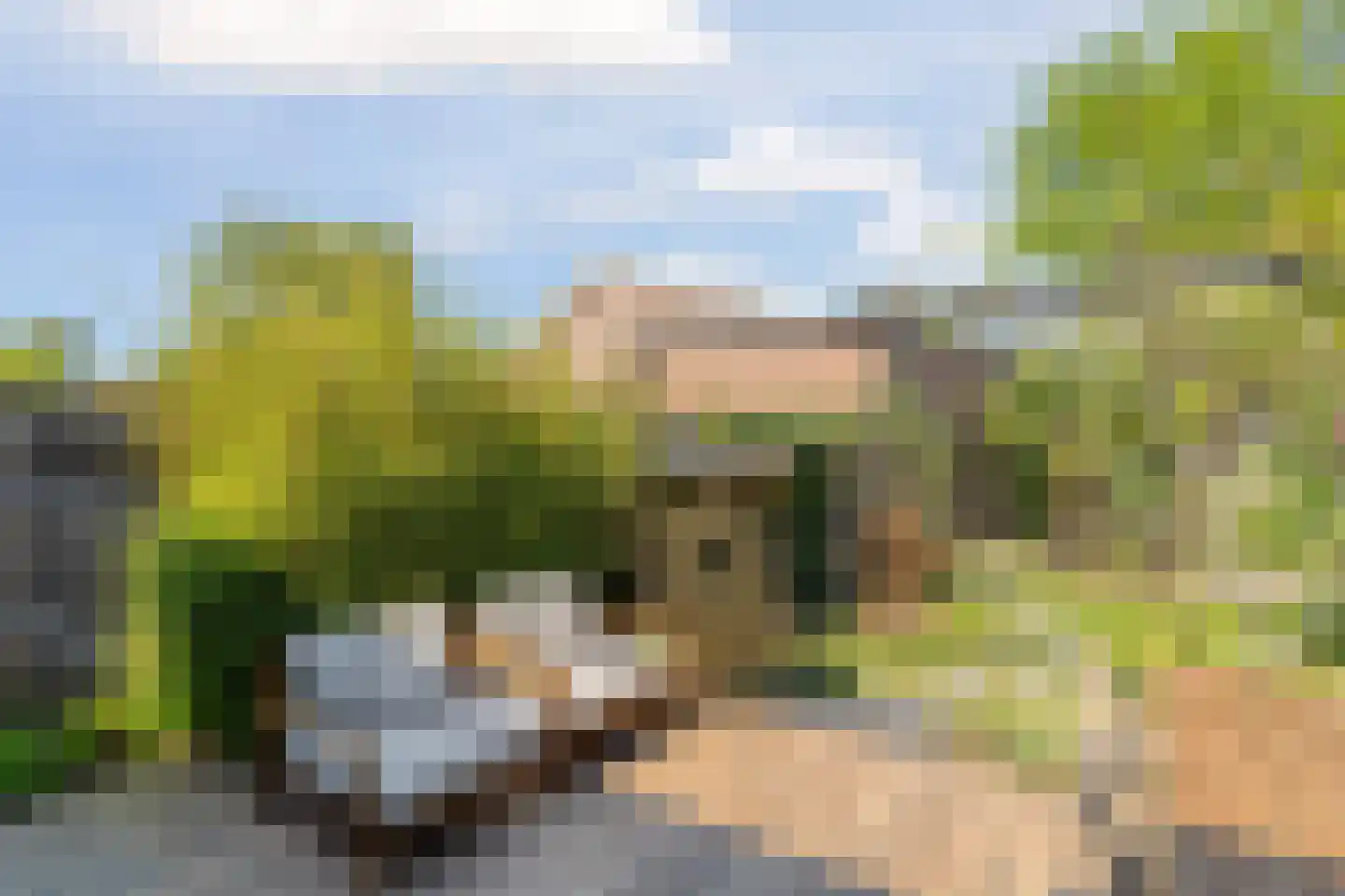 Oude Nonnendaalseweg 194 Nijmegen thumbnail 41