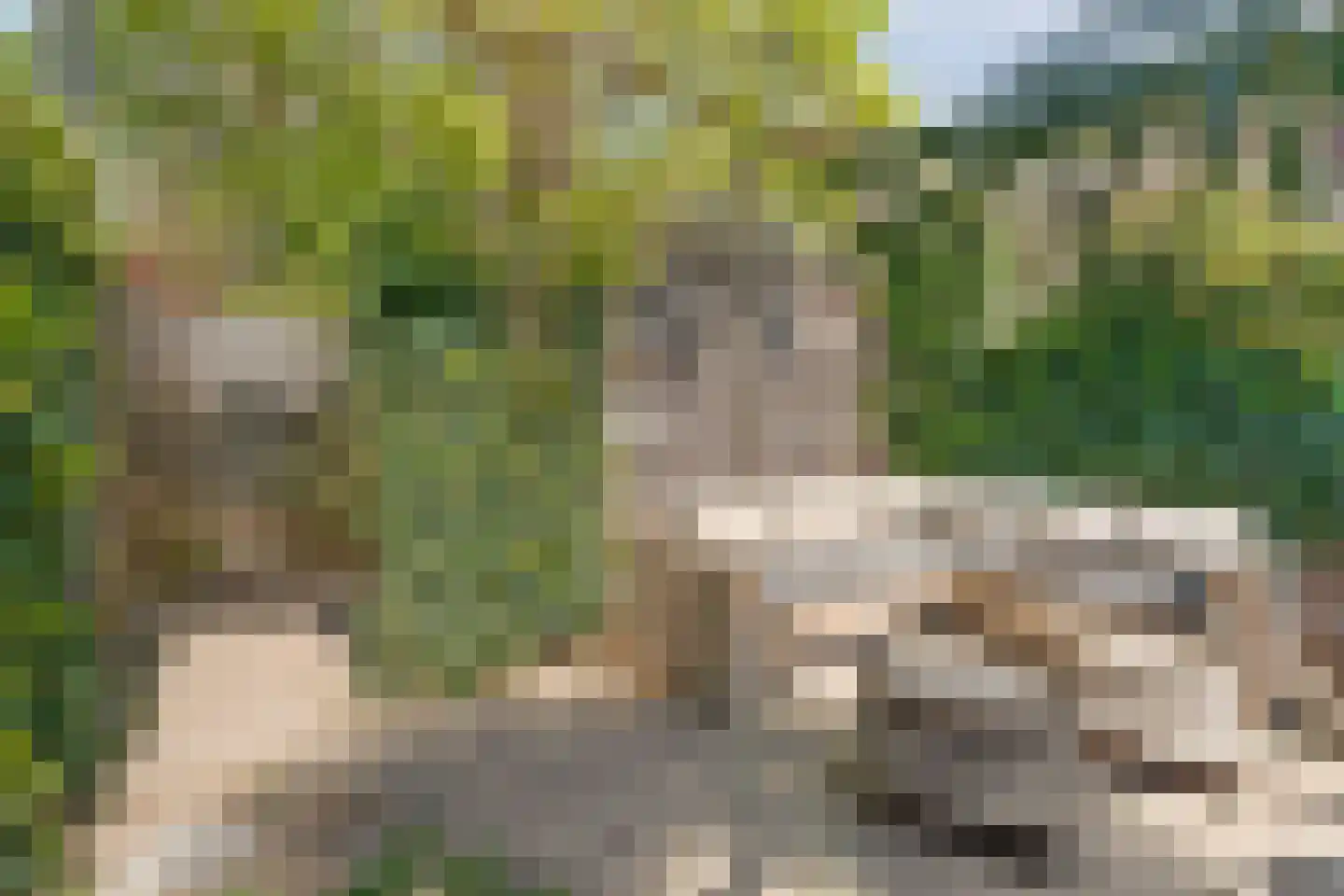 Oude Nonnendaalseweg 194 Nijmegen thumbnail 42