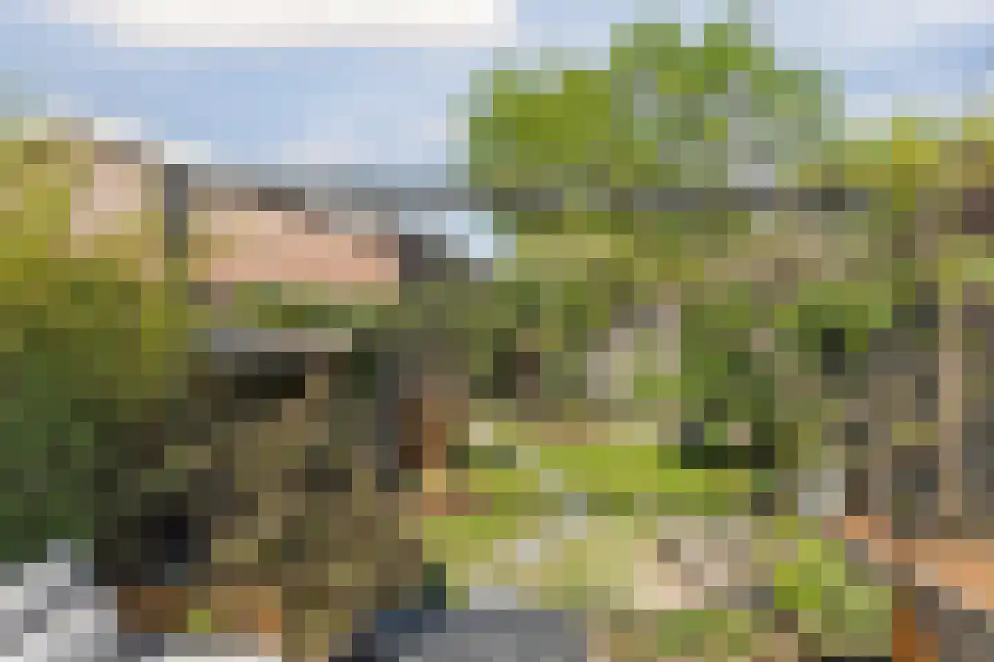Oude Nonnendaalseweg 194 Nijmegen thumbnail 43