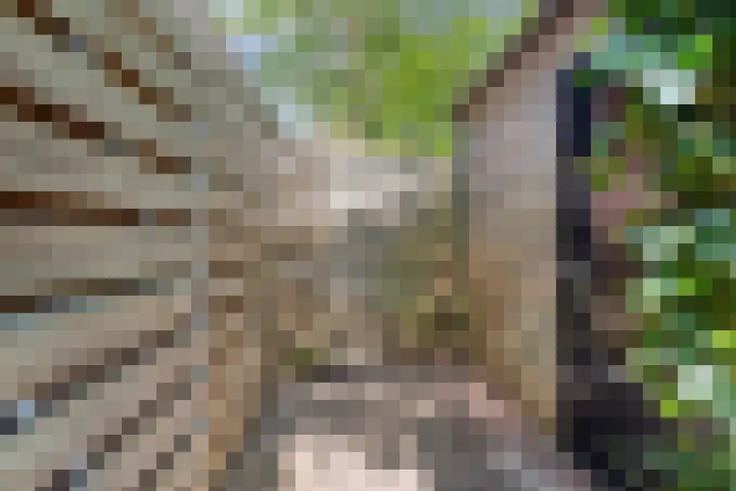Oude Nonnendaalseweg 194 Nijmegen thumbnail 45