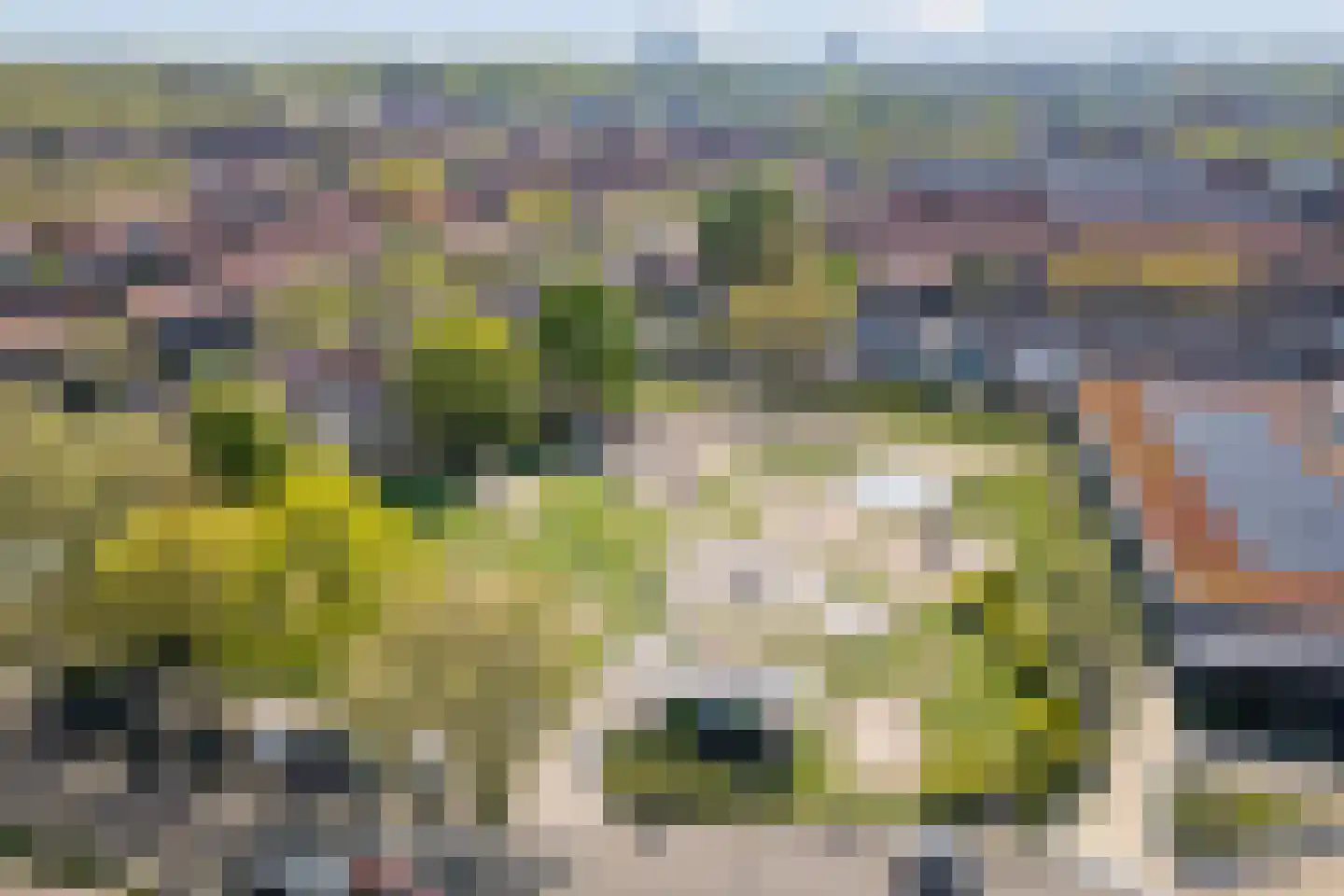 Oude Nonnendaalseweg 194 Nijmegen thumbnail 48