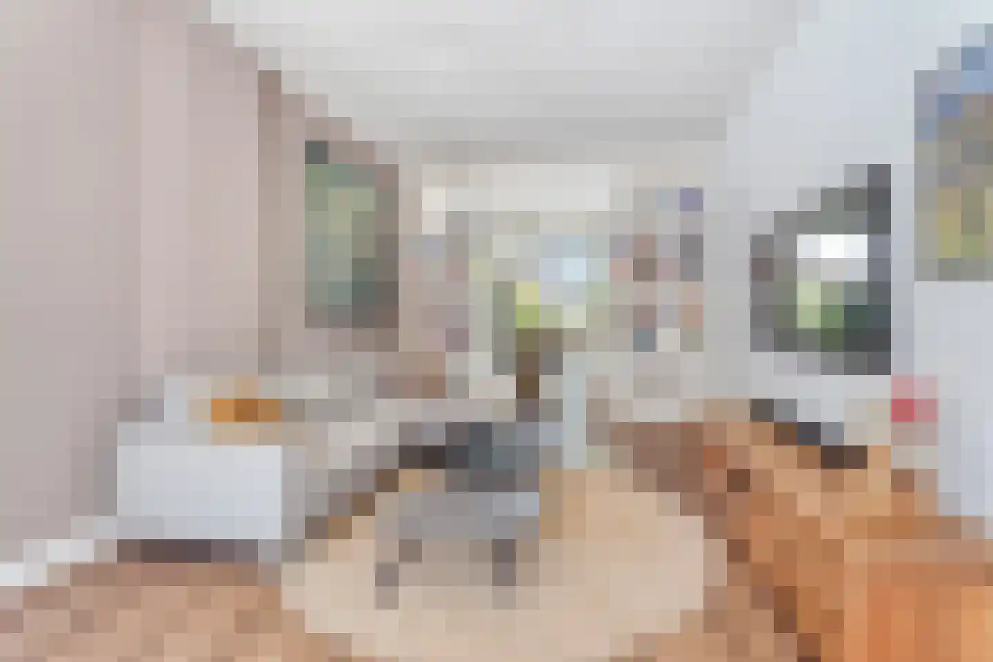 Oude Nonnendaalseweg 194 Nijmegen thumbnail 7