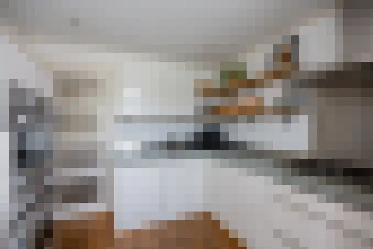 Oude Nonnendaalseweg 301 Nijmegen thumbnail 15
