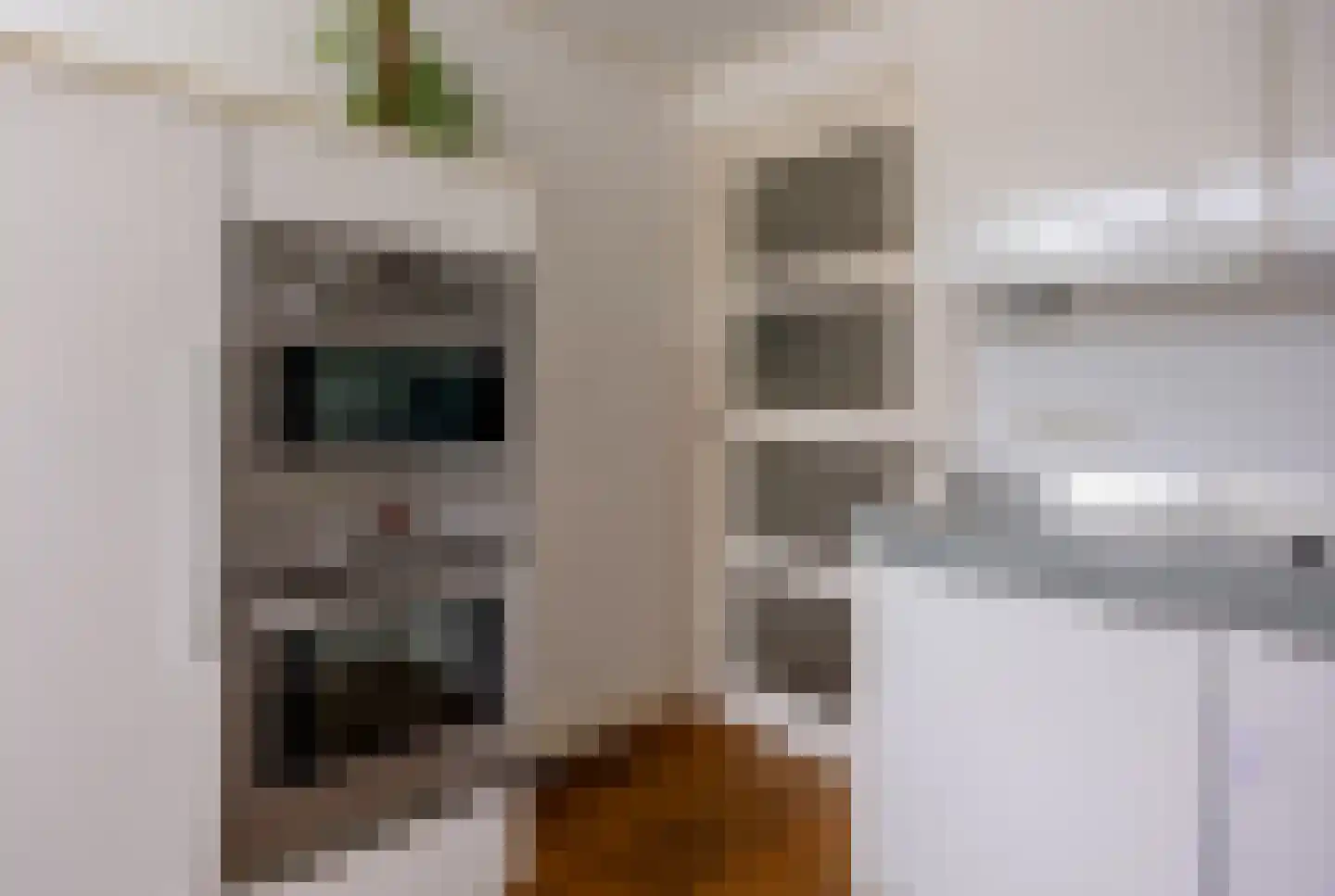 Oude Nonnendaalseweg 301 Nijmegen thumbnail 16