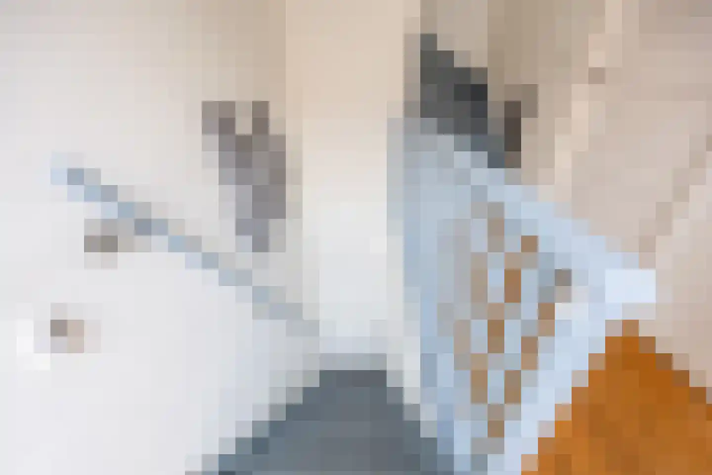 Oude Nonnendaalseweg 301 Nijmegen thumbnail 17