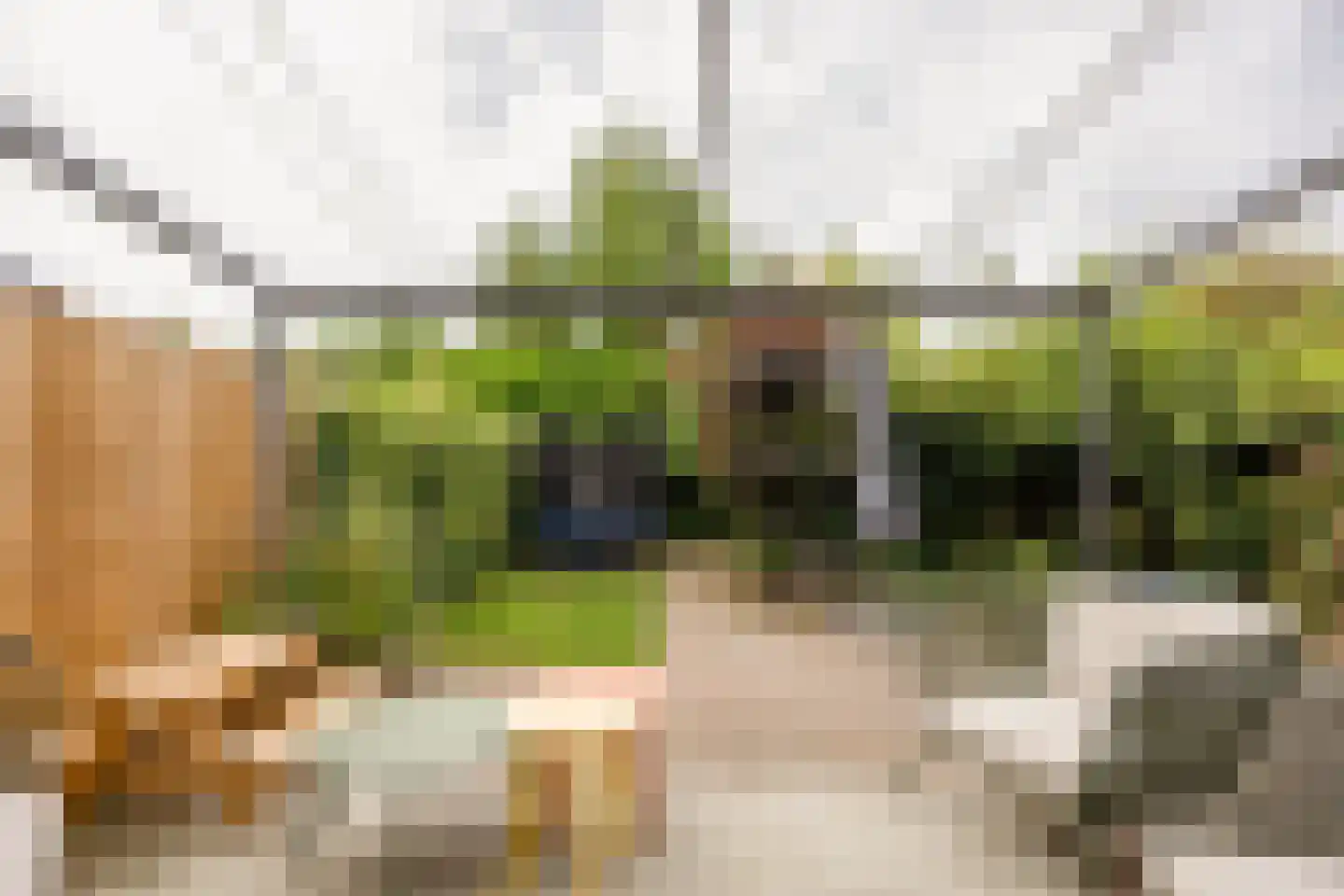 Oude Nonnendaalseweg 301 Nijmegen thumbnail 34