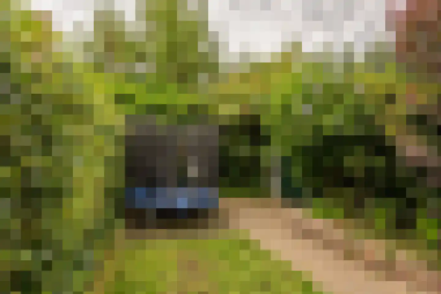 Oude Nonnendaalseweg 301 Nijmegen thumbnail 35