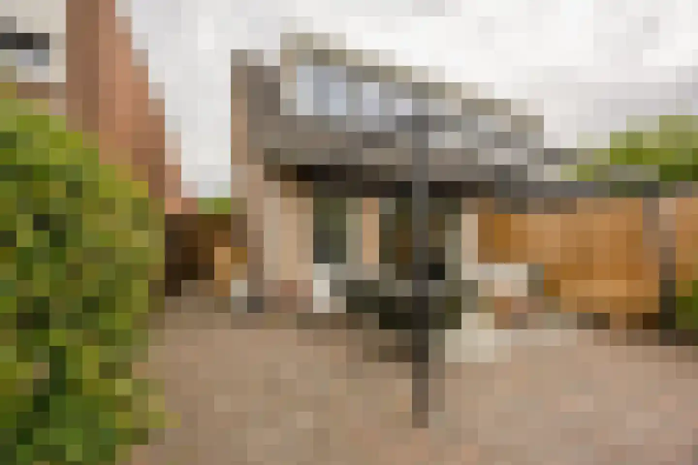 Oude Nonnendaalseweg 301 Nijmegen thumbnail 38
