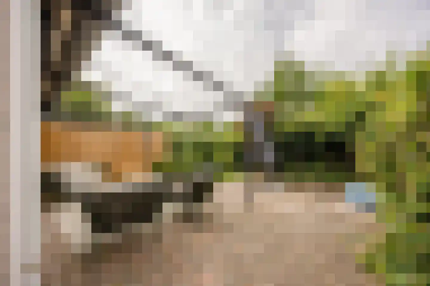 Oude Nonnendaalseweg 301 Nijmegen thumbnail 39