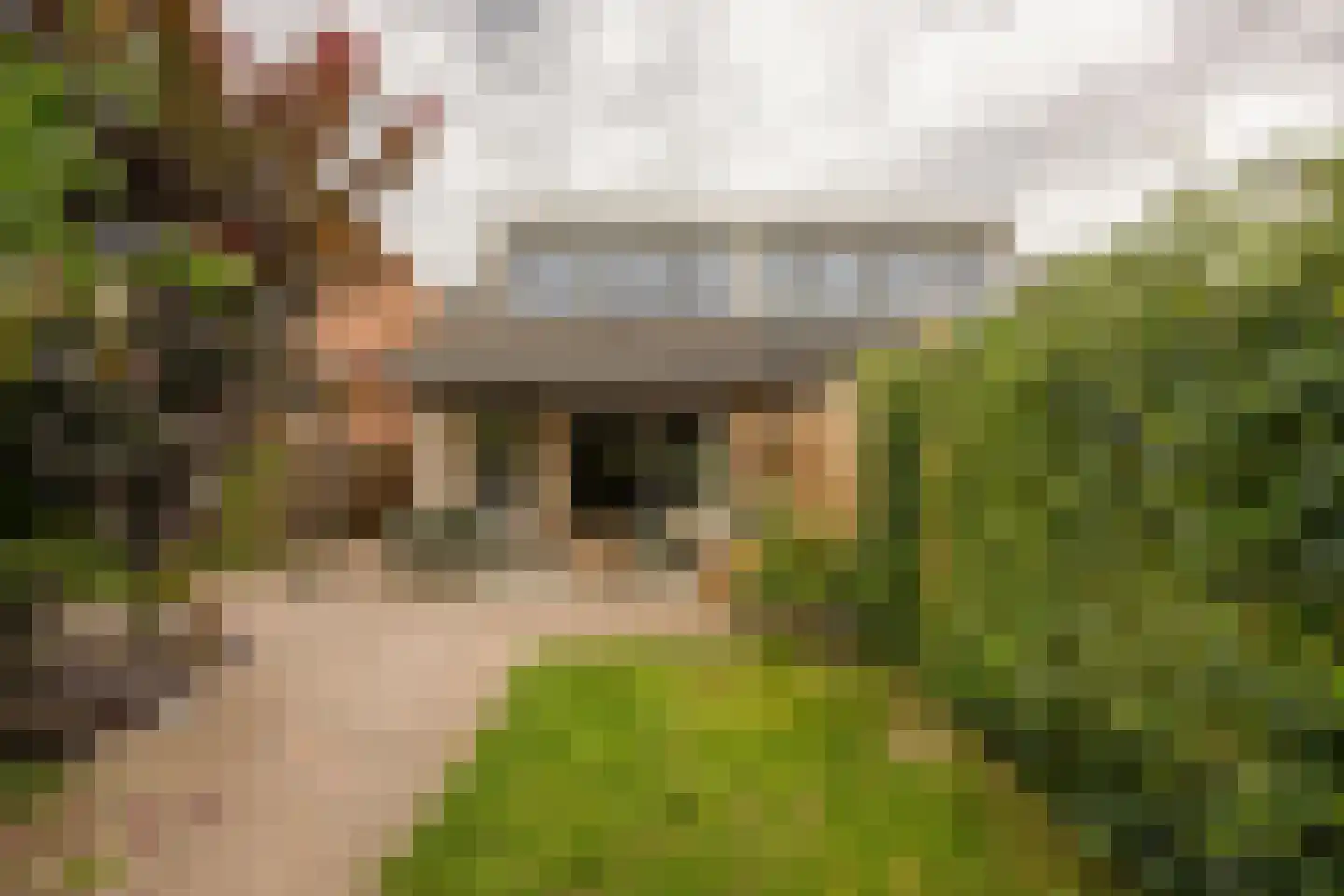 Oude Nonnendaalseweg 301 Nijmegen thumbnail 40