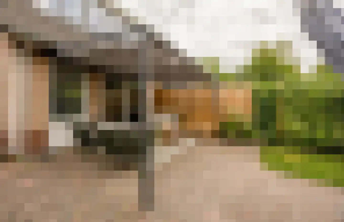 Oude Nonnendaalseweg 301 Nijmegen thumbnail 41