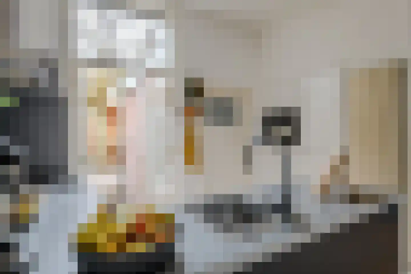 Oude Nonnendaalseweg 327 Nijmegen thumbnail 18