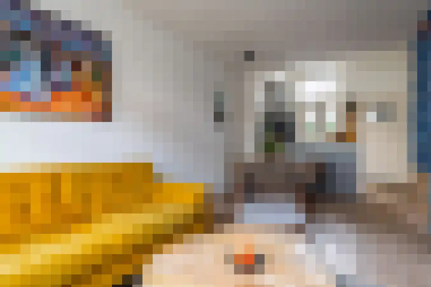 Oude Nonnendaalseweg 327 Nijmegen thumbnail 8