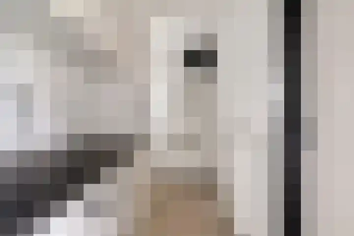 Oude Notewei 12 Kloetinge thumbnail 22